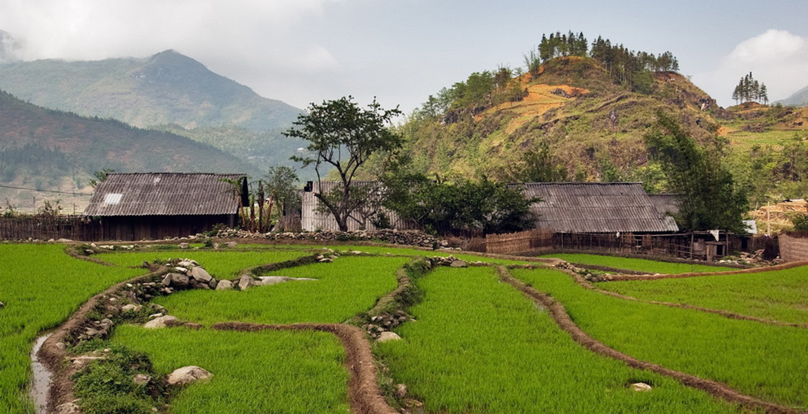 Sapa Motorbike